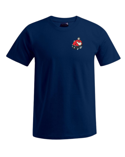 "Brummi" T-Shirt Herren XS-5XL gestickt